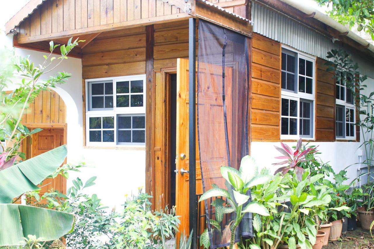 Van Villa Guesthouse Negril Ngoại thất bức ảnh