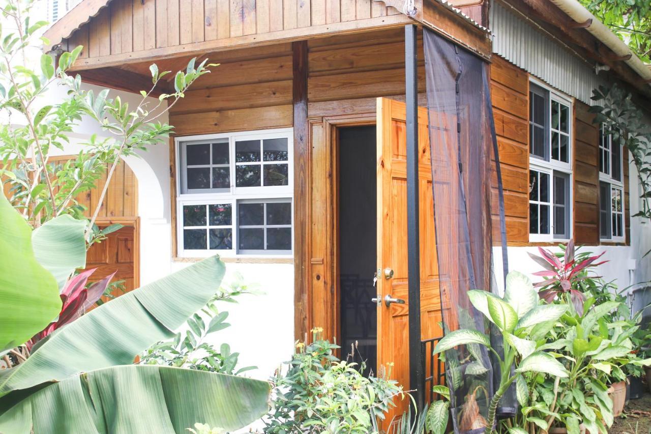 Van Villa Guesthouse Negril Ngoại thất bức ảnh